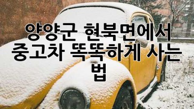 양양군 현북면에서 중고차 똑똑하게 사는 법!