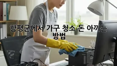 함평군에서 가구 청소, 돈 아끼는 방법!