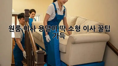 원룸 이사? 용달이 딱! 소형 이사 꿀팁 가득